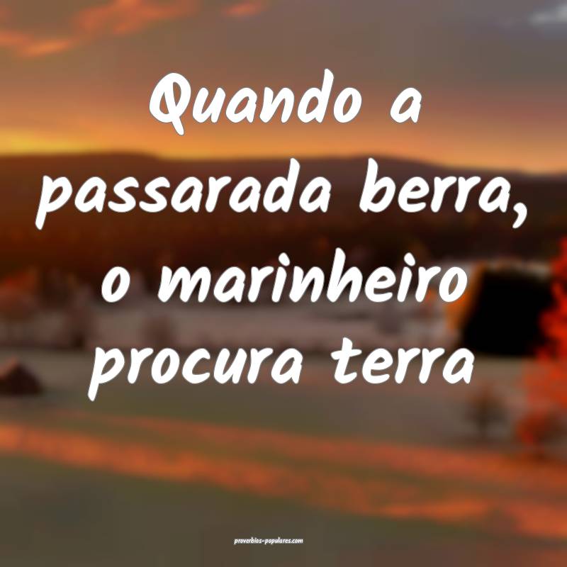 Quando a passarada berra, o marinheiro procura ter ...