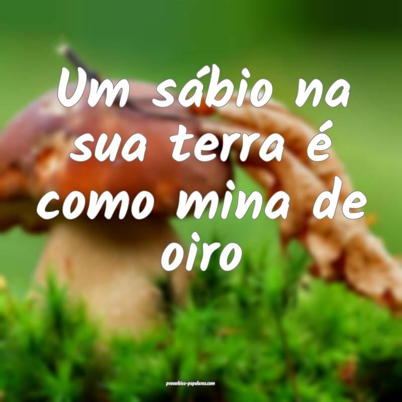 Um sábio na sua terra é como mina de oiro...