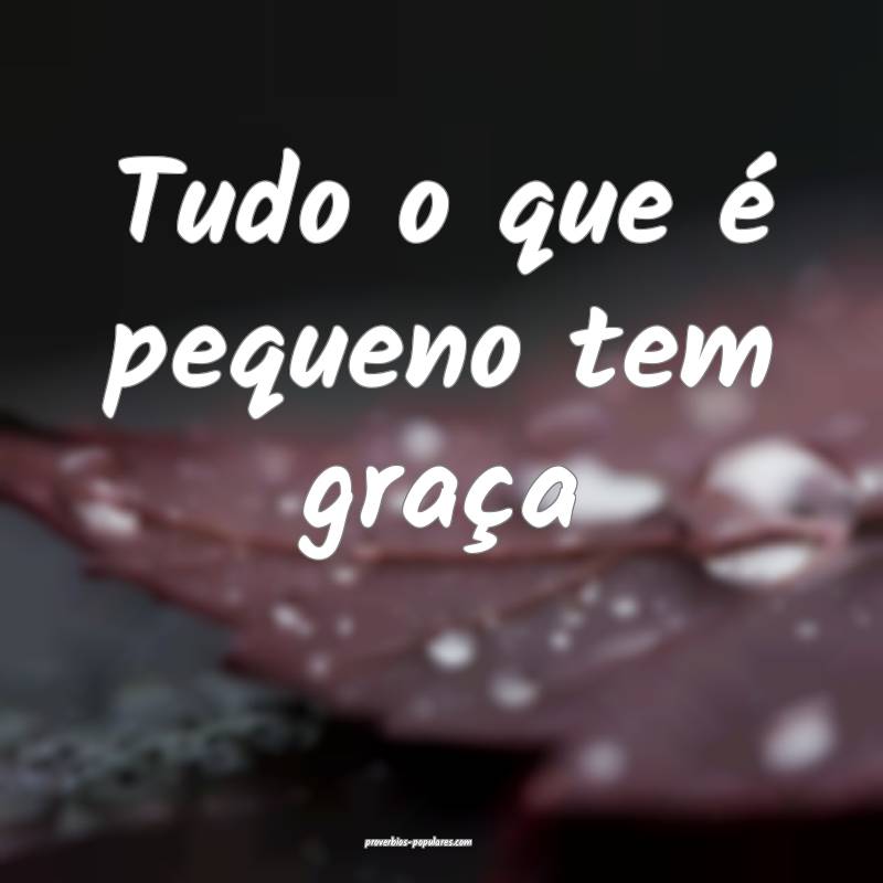 Tudo o que é pequeno tem graça ...