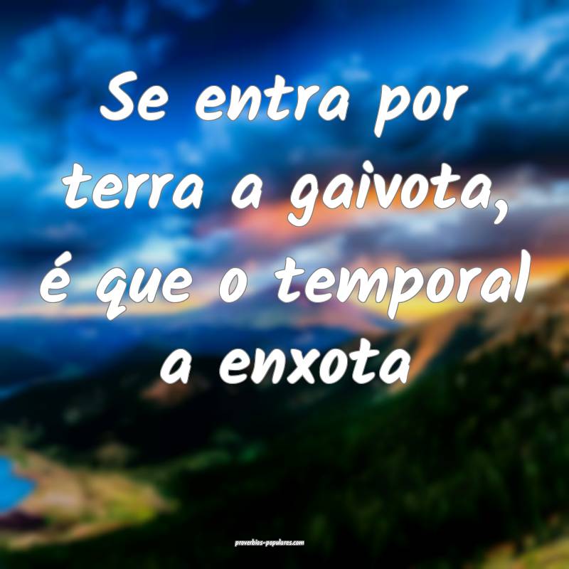 Se entra por terra a gaivota, é que o temporal a enxota...