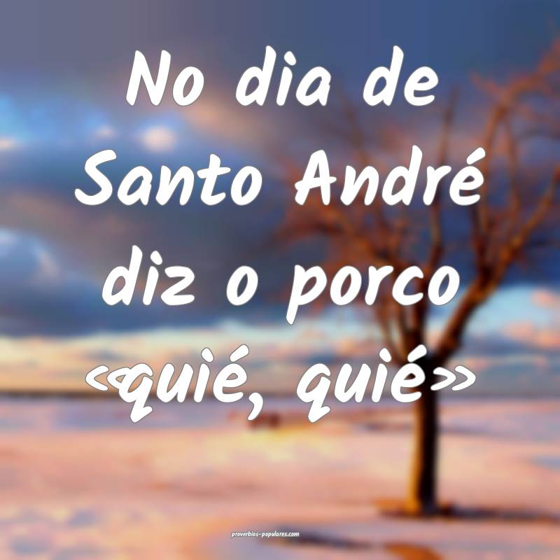 No dia de Santo André diz o porco «quié, quié ...