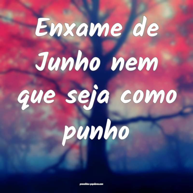 Enxame de Junho nem que seja como punho...