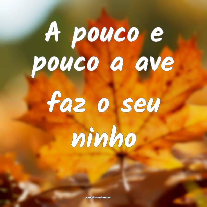 A pouco e pouco a ave faz o seu ninho...