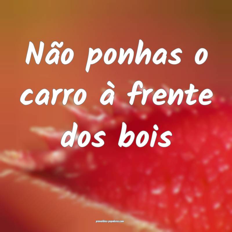 Não ponhas o carro à frente dos bois...