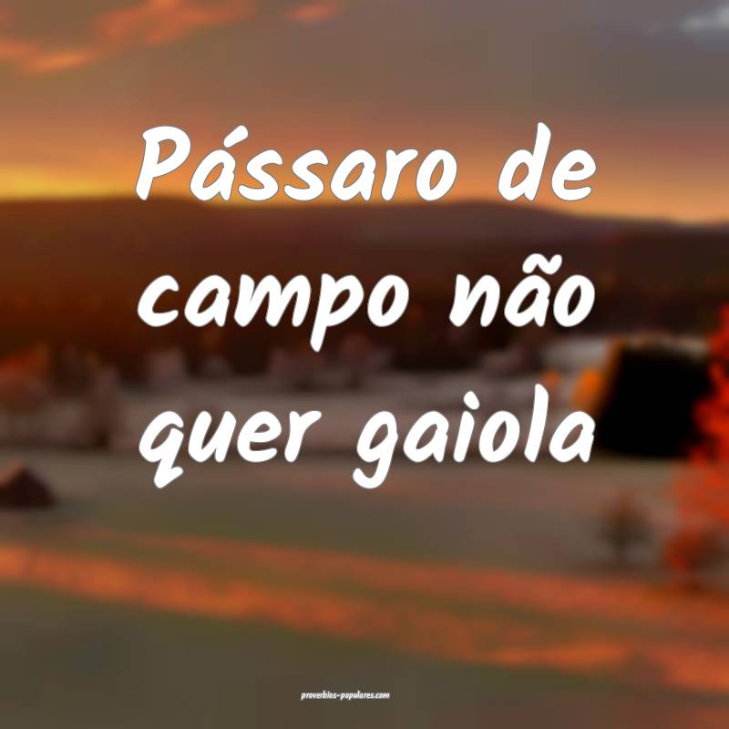 Pássaro de campo não quer gaiola...