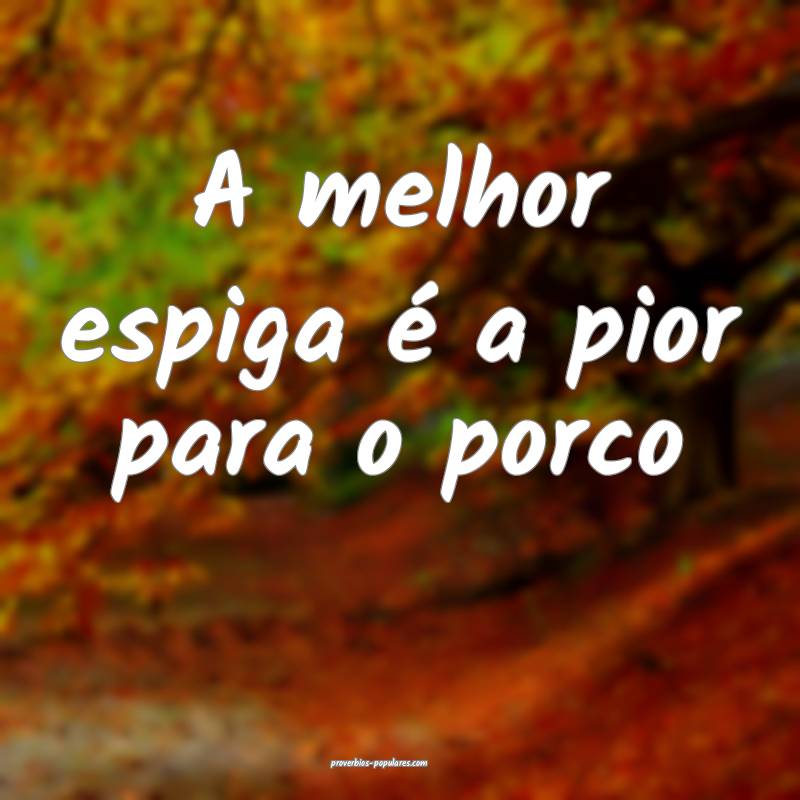 A melhor espiga é a pior para o porco...