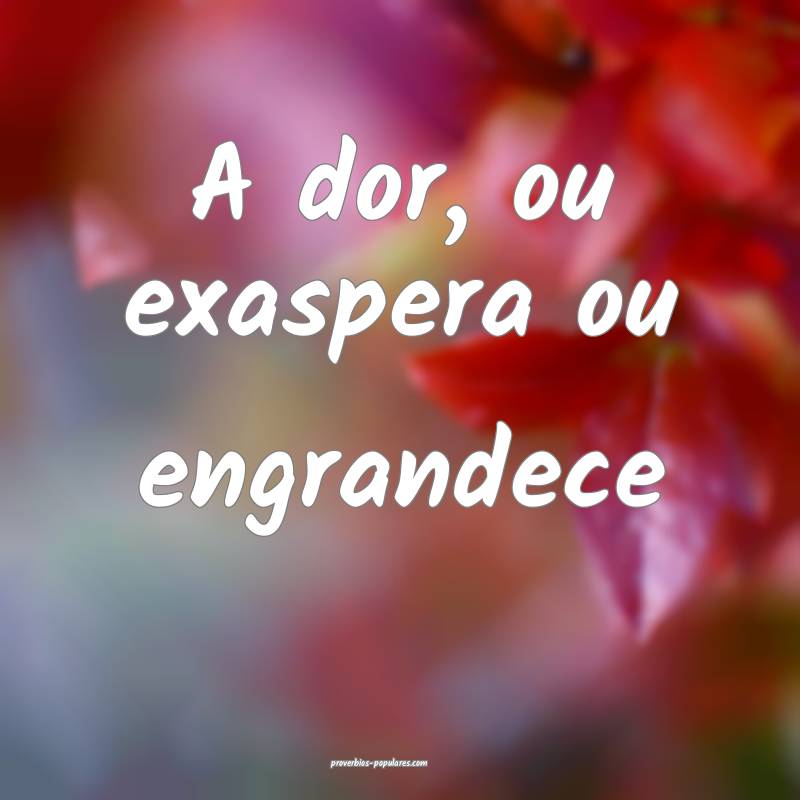 A dor, ou exaspera ou engrandece ...