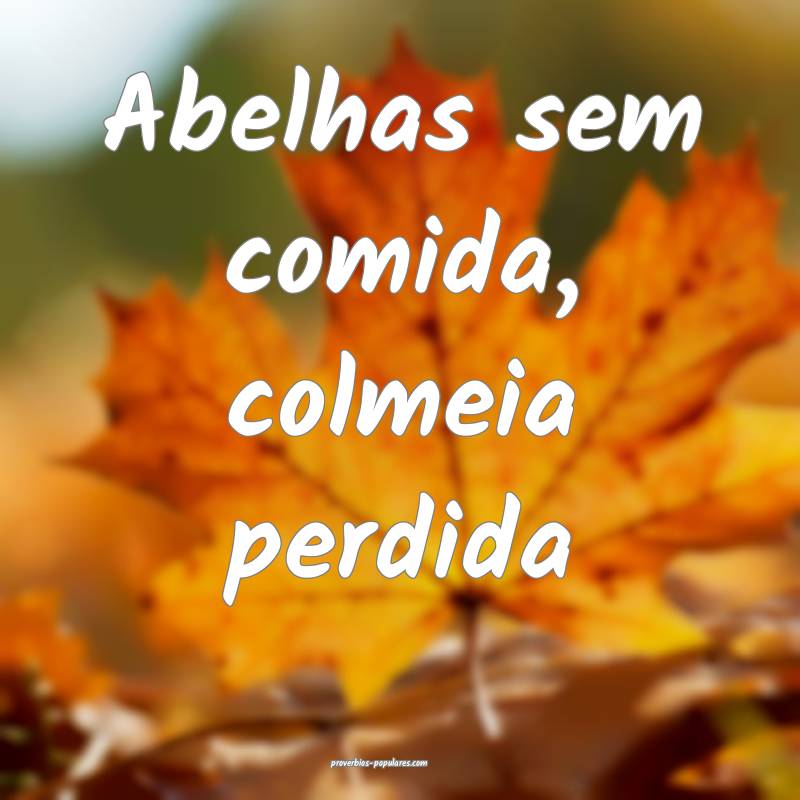 Abelhas sem comida, colmeia perdida...