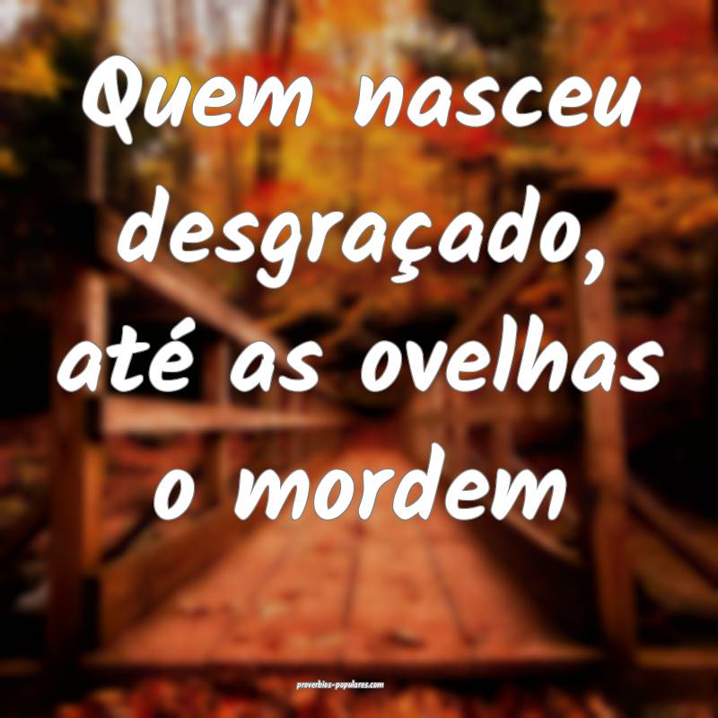 Quem nasceu desgraçado, até as ovelhas o mordem...