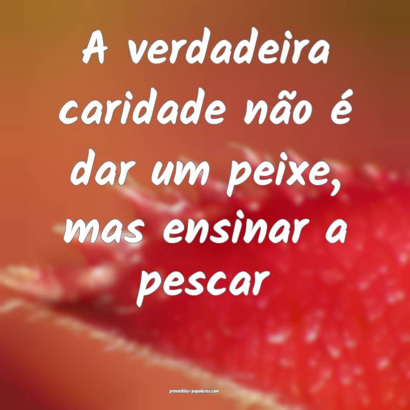 A verdadeira caridade não é dar um peixe, mas ensinar a pescar...