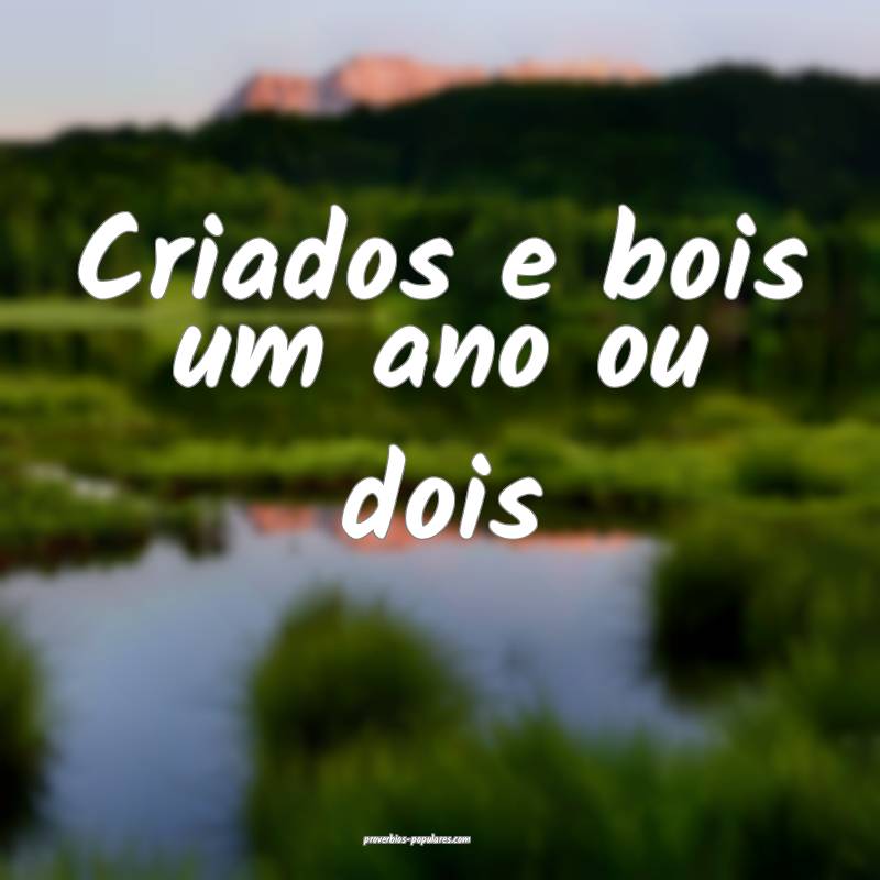 Criados e bois um ano ou dois...