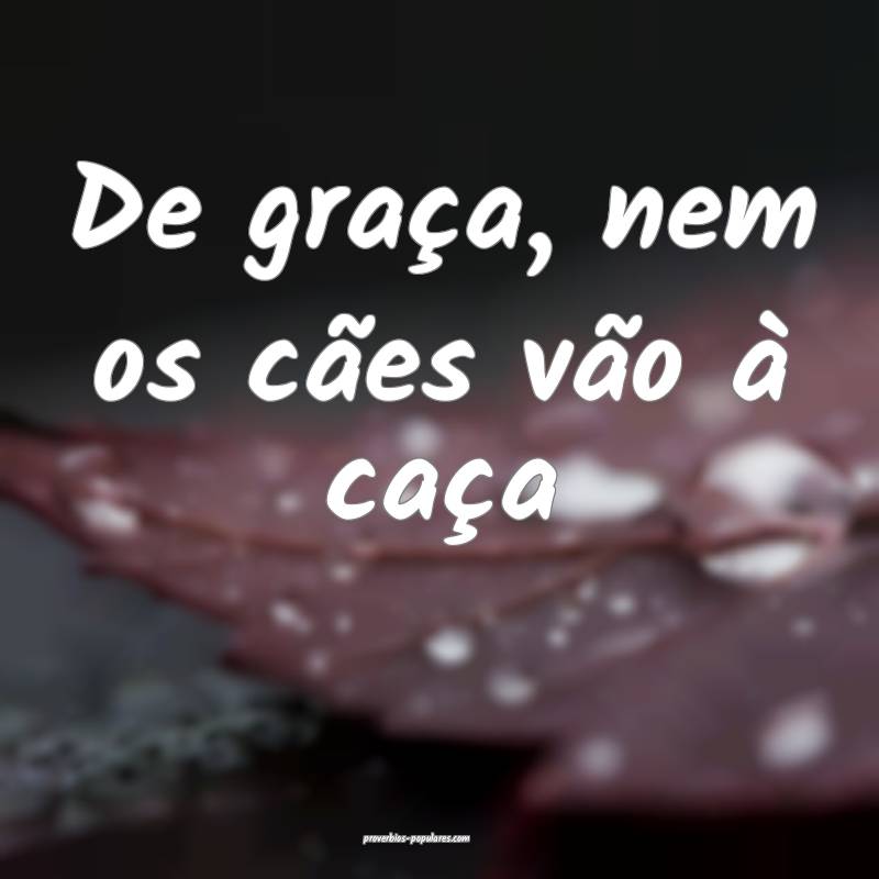 De graça, nem os cães vão à caça ...