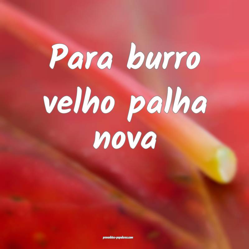 Para burro velho palha nova...