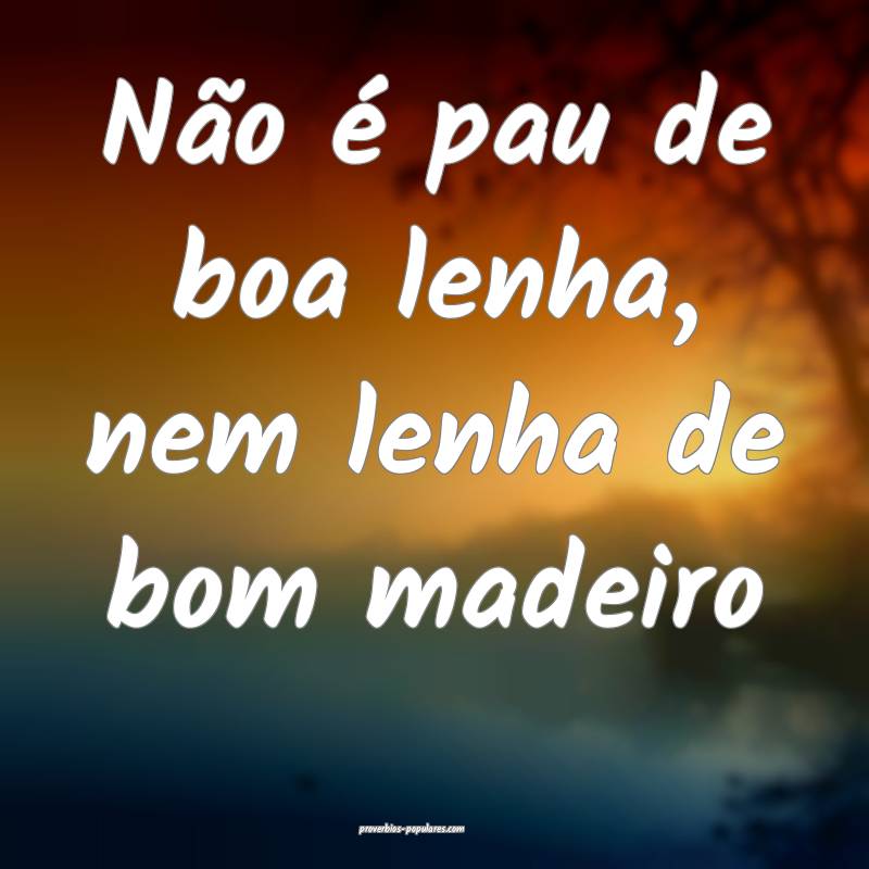 Não é pau de boa lenha, nem lenha de bom madeiro...