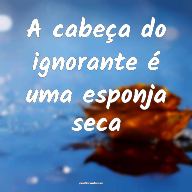 A cabeça do ignorante é uma esponja seca...