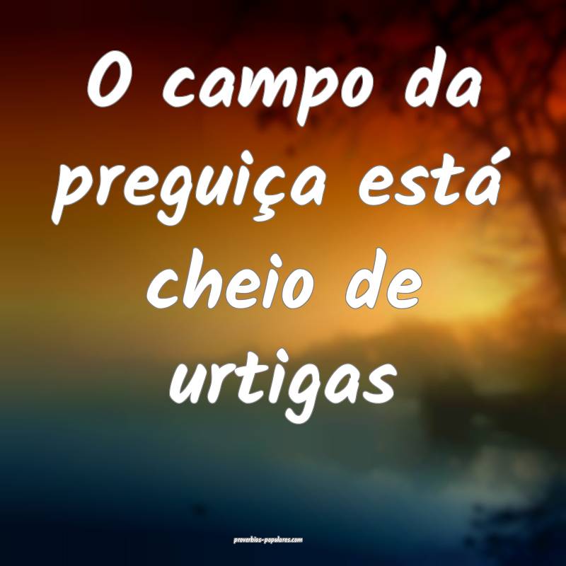 O campo da preguiça está cheio de urtigas...