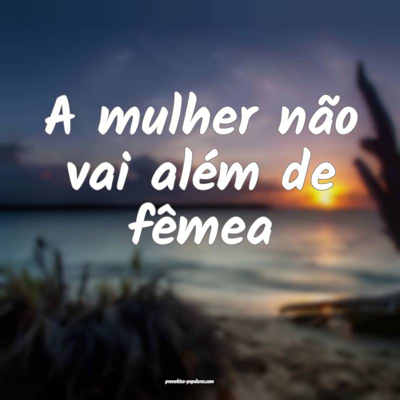 A mulher não vai além de fêmea...