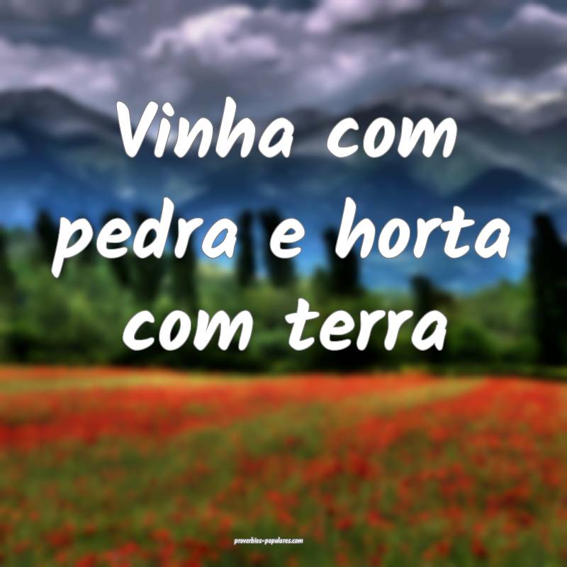 Vinha com pedra e horta com terra...
