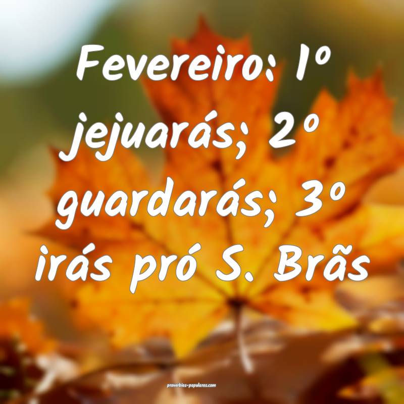 Fevereiro: 1º jejuarás; 2º guardarás; 3º irás pró S. Brãs...