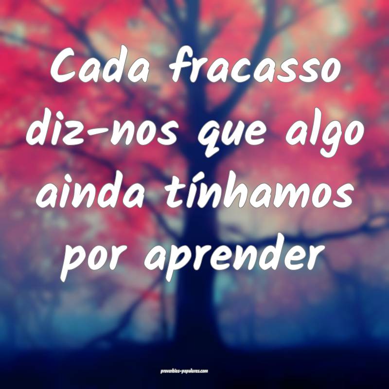 Cada fracasso diz-nos que algo ainda tínhamos por aprender...