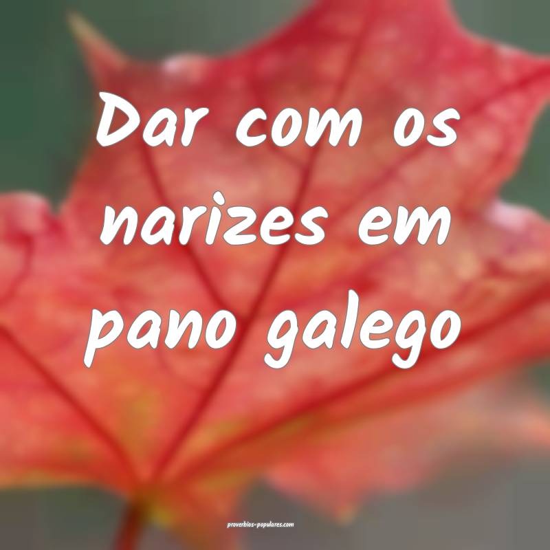 Dar com os narizes em pano galego ...