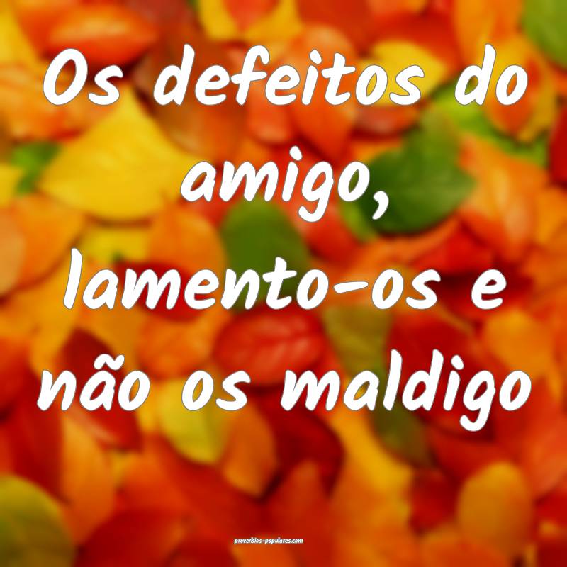 Os defeitos do amigo, lamento-os e não os maldigo ...