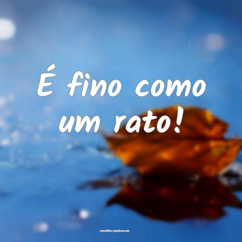É fino como um rato! ...
