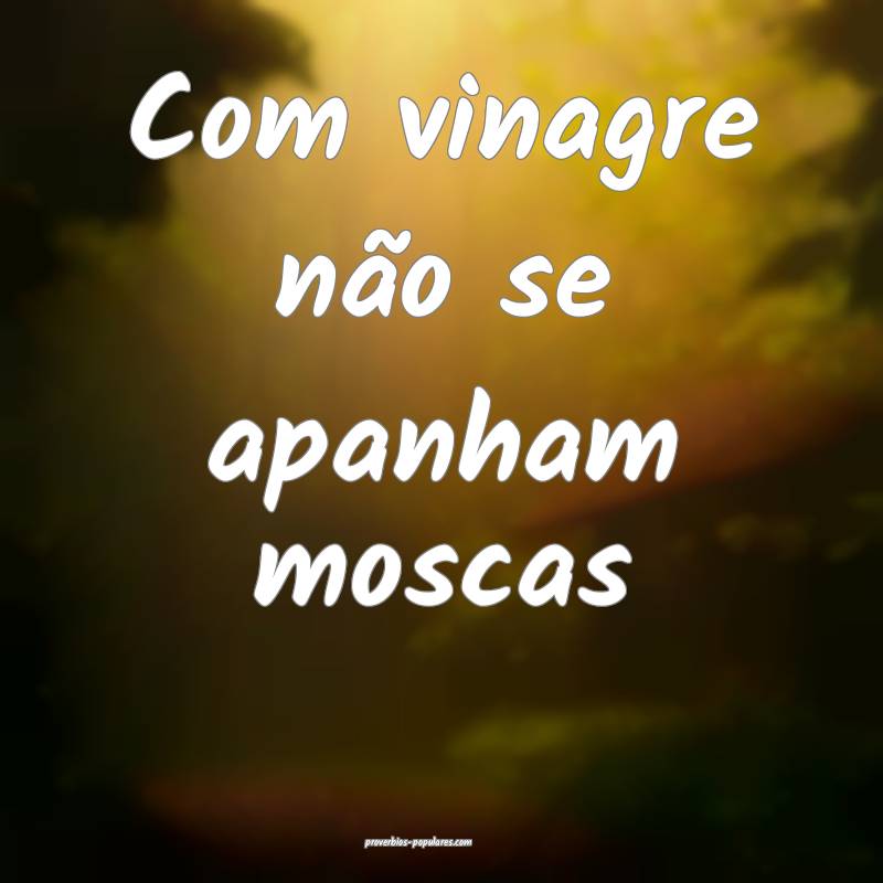 Com vinagre não se apanham moscas...