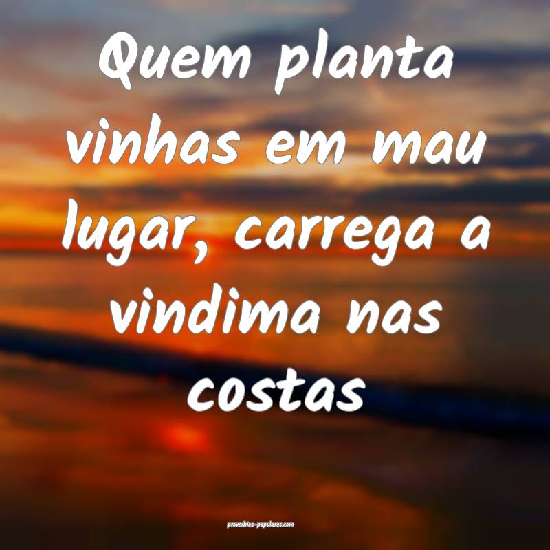 Quem planta vinhas em mau lugar, carrega a vindima ...