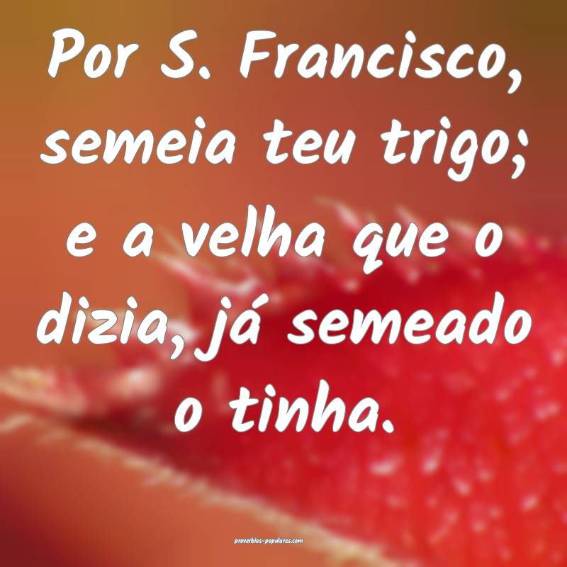 Por S. Francisco, semeia teu trigo; e a velha que o dizia, já semeado...
