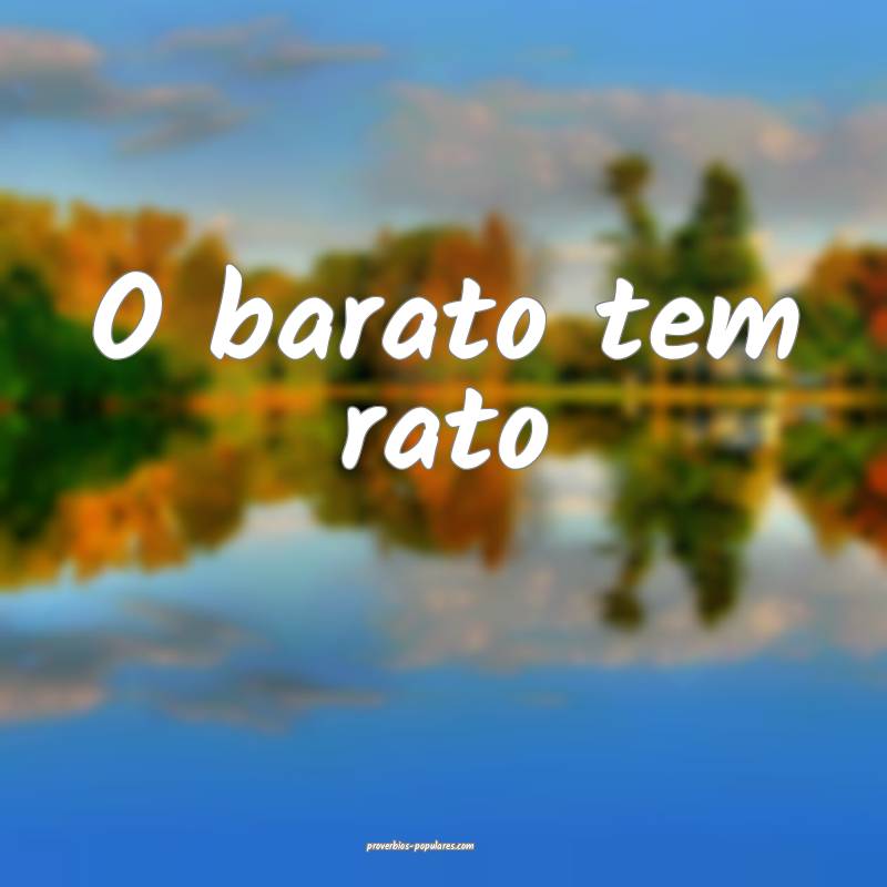 O barato tem rato...
