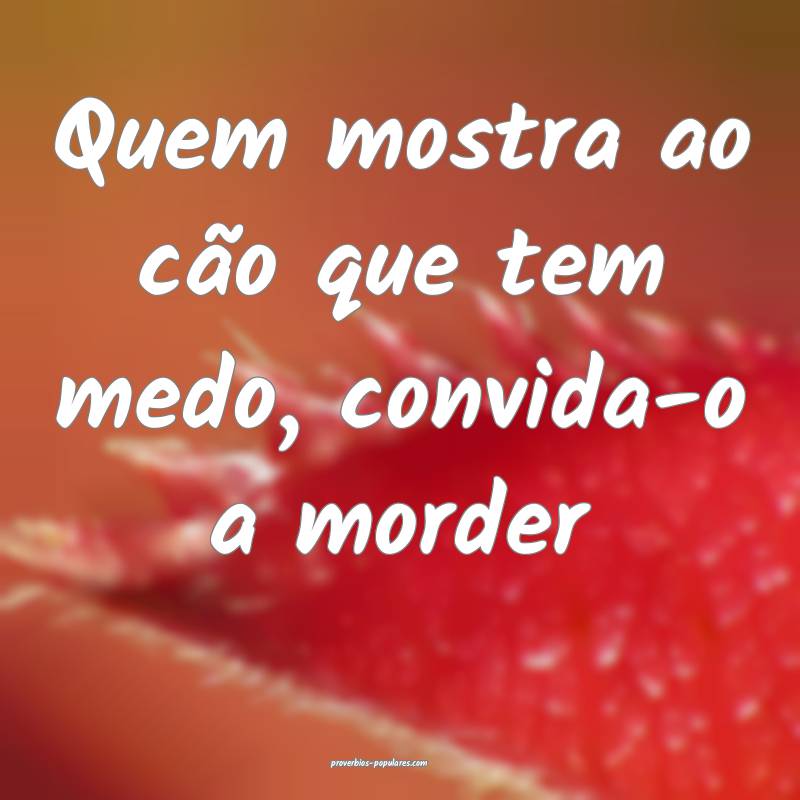 Quem mostra ao cão que tem medo, convida-o a morder...