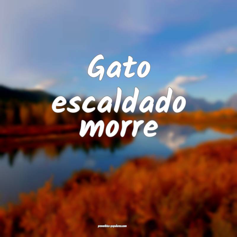 Gato escaldado morre
...