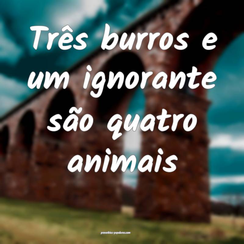 Três burros e um ignorante são quatro animais...