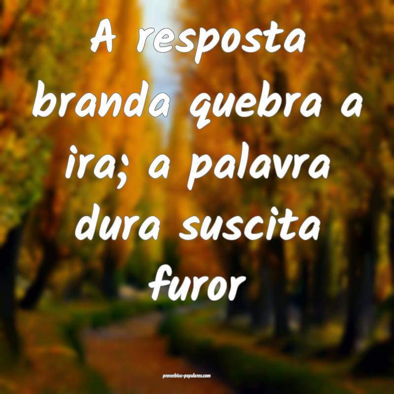 A resposta branda quebra a ira; a palavra dura suscita furor...