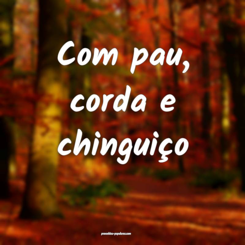 Com pau, corda e chinguiço...