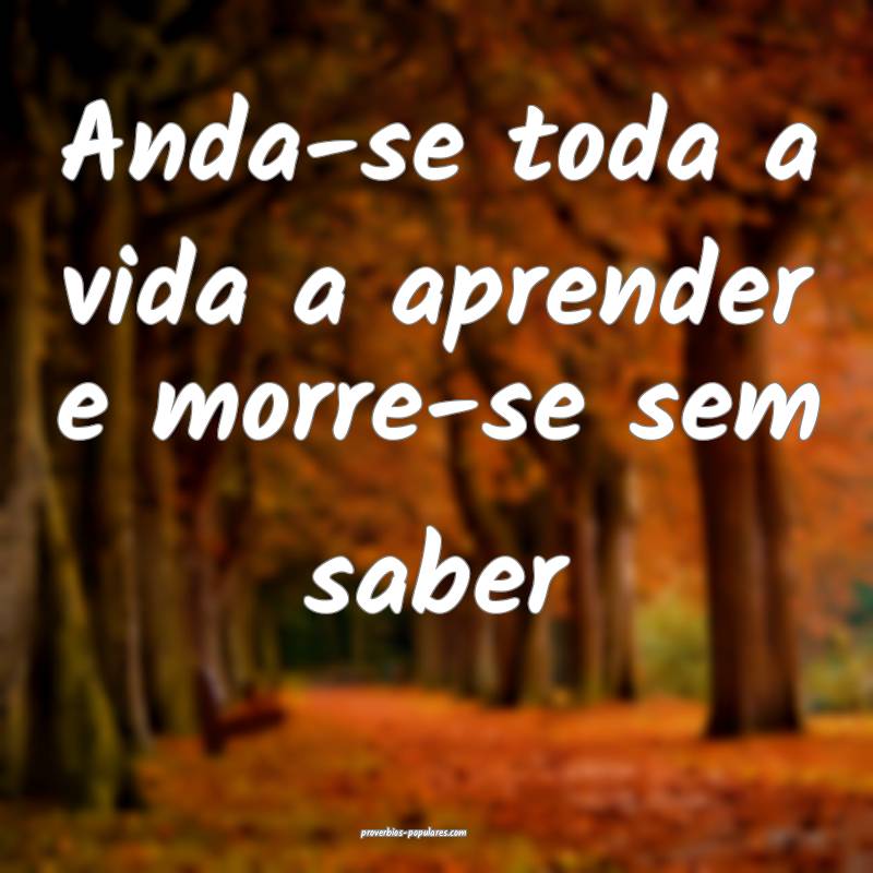 Anda-se toda a vida a aprender e morre-se sem saber...
