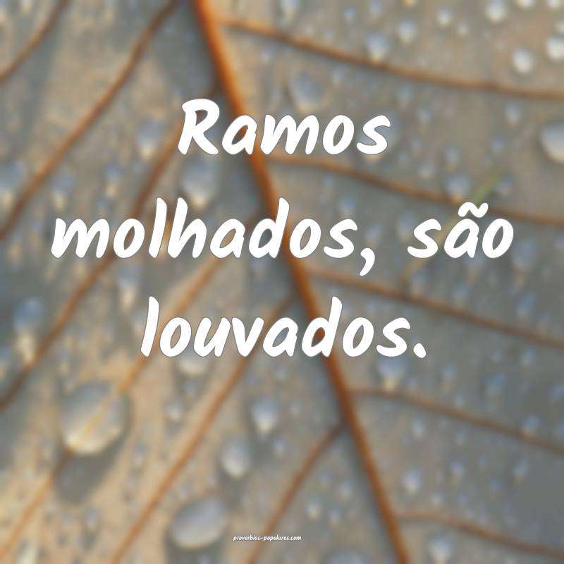 Ramos molhados, são louvados....