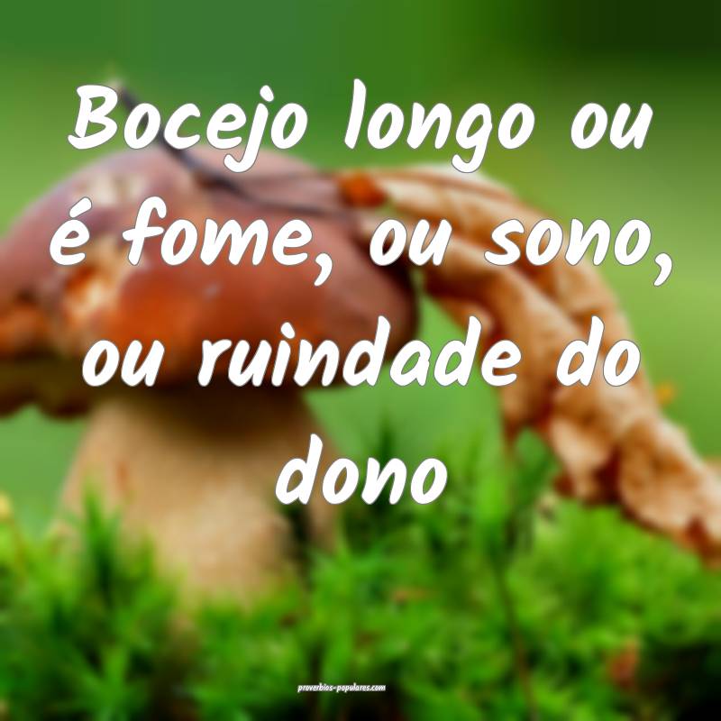 Bocejo longo ou é fome, ou sono, ou ruindade do dono...