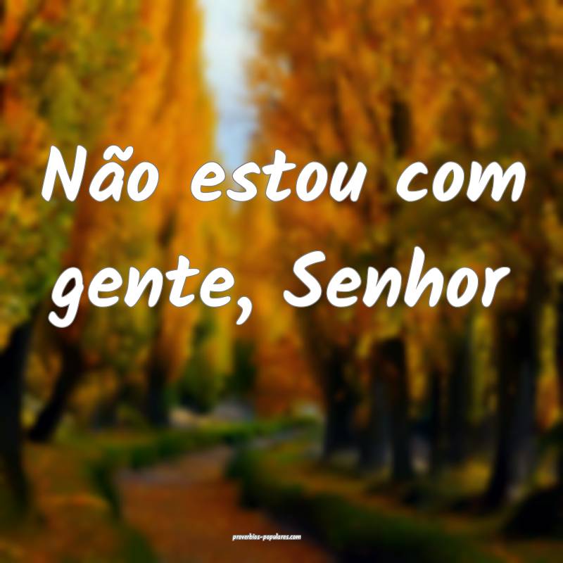 Não estou com gente, Senhor ...