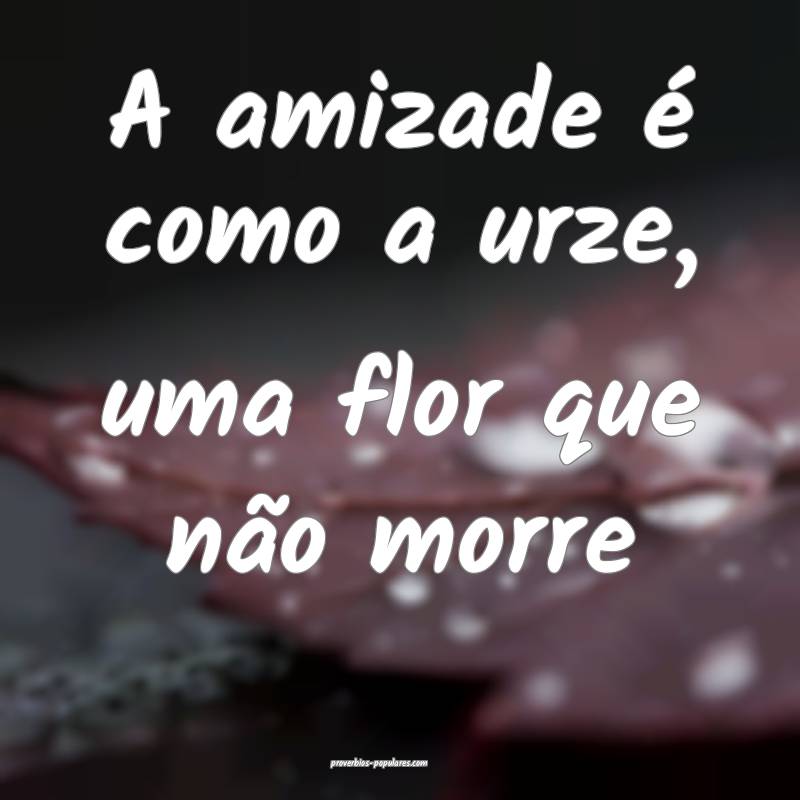 A amizade é como a urze, uma flor que não morre...