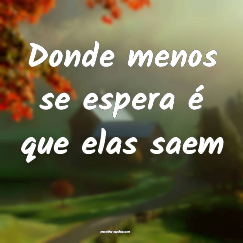 Donde menos se espera é que elas saem ...