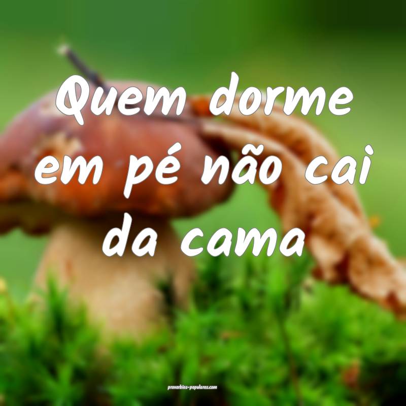 Quem dorme em pé não cai da cama...