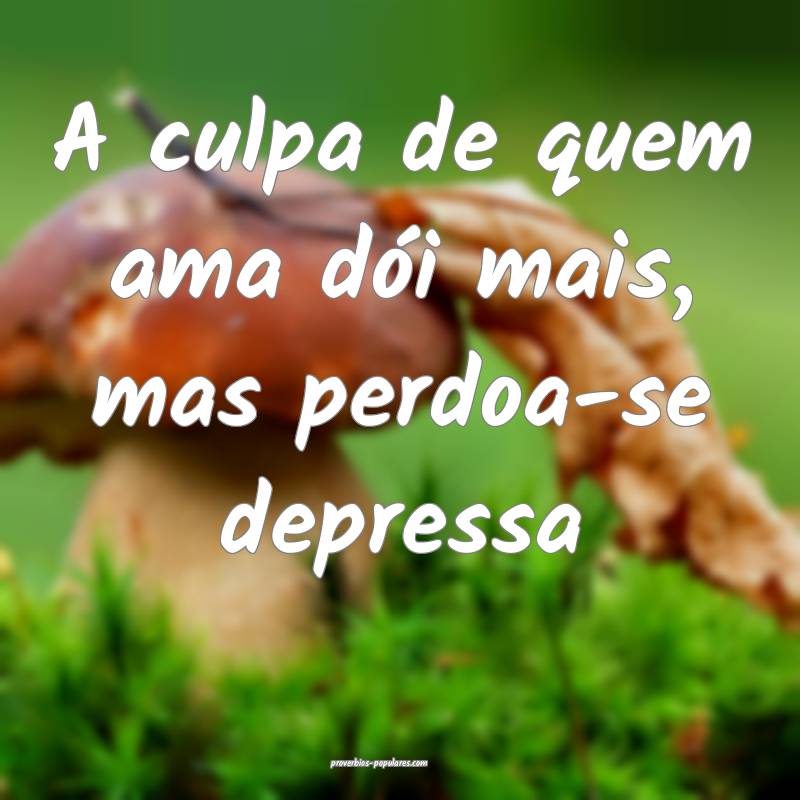 A culpa de quem ama dói mais, mas perdoa-se depressa...