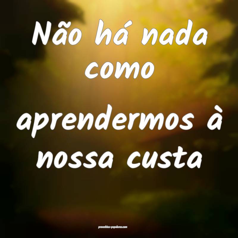 Não há nada como aprendermos à nossa custa ...