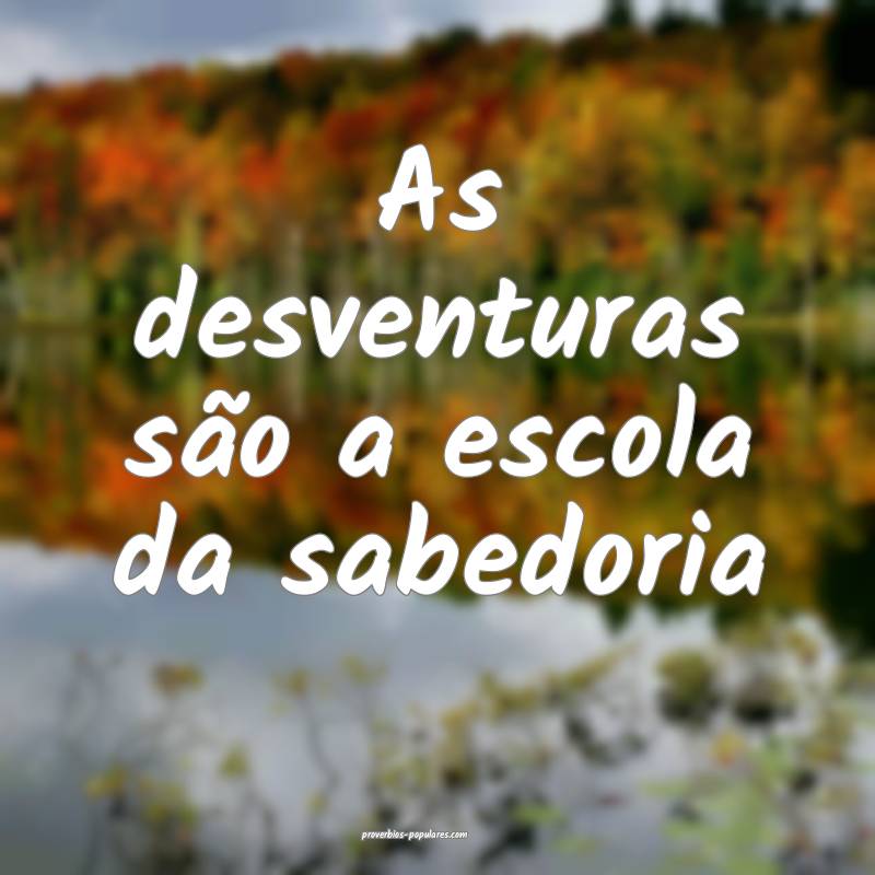 As desventuras são a escola da sabedoria...