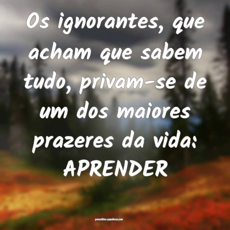 Os ignorantes, que acham que sabem tudo, privam-se de um dos maiores p...