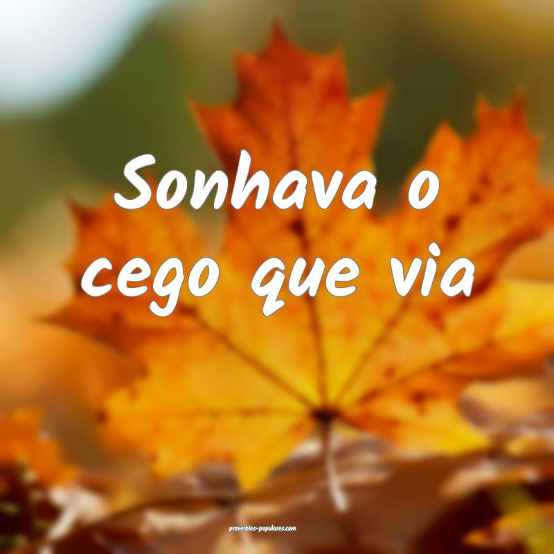 Sonhava o cego que via ...