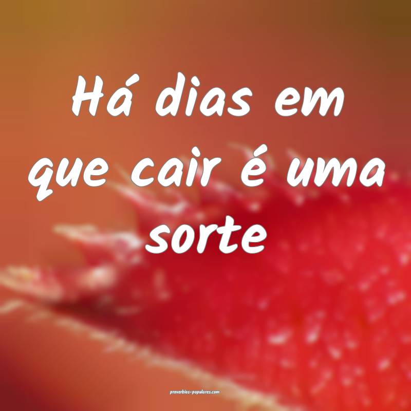 Há dias em que cair é uma sorte...