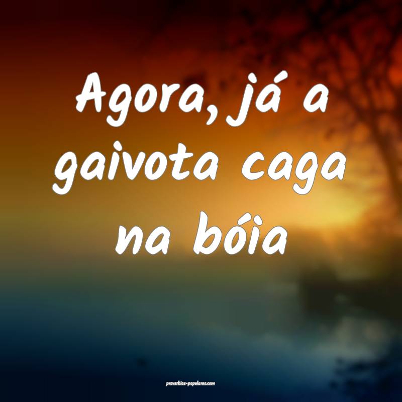 Agora, já a gaivota caga na bóia...